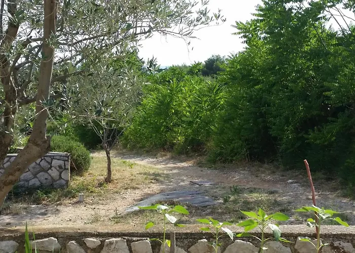 Apartmani Ana Schon